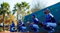 Dodgers-catchers-2017-spring-training