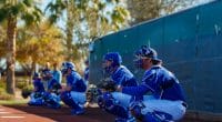 Dodgers-catchers-2017-spring-training
