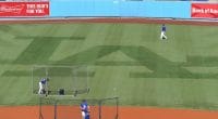 Joc Pederson, Dodger Stadium, LA logo field