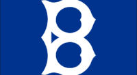 Brooklyn Robins logo