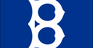Brooklyn Robins logo
