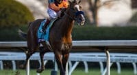 Authentic, 2020 Breeders' Cup Classic