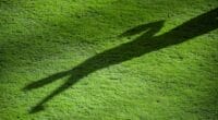 General view of outfield grass, player shadow