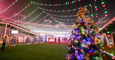 Christmas tree, 2021 Dodgers Holiday Festival