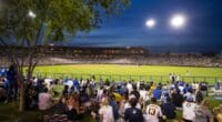 Dodgers fans, Camelback Ranch view, 2022 Spring Training