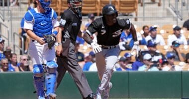 Tim Anderson, Will Smith, 2022 Spring Training