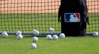 General view of MLB baseballs, baseballs bag, MLB logo