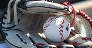 Baseball, glove, 2023 NLDS