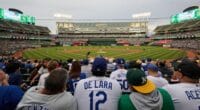 Dodgers fans, Oakland Coliseum view