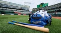 Dodgers workout bag, bats